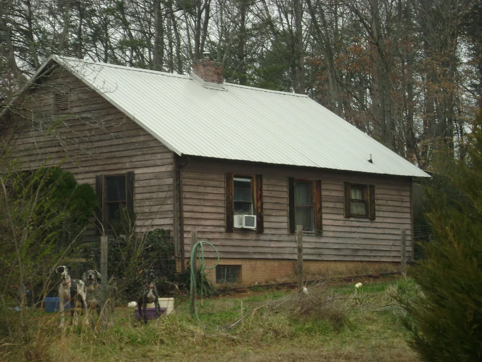 White metal roof on an old wood sided farmhouse, from a Asphalt Shingle Roof Repair job in Canby